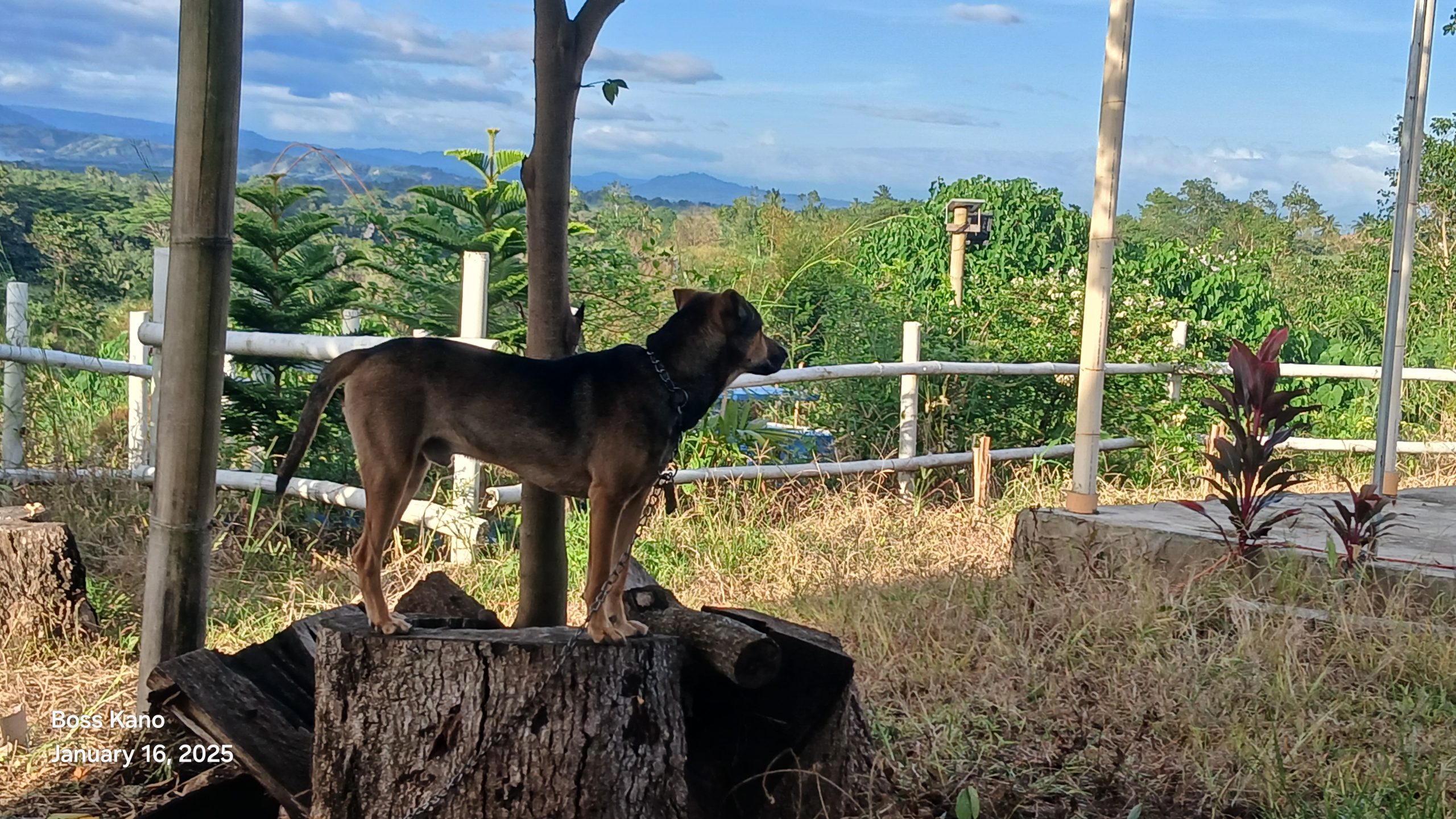 Farm Life Update: A Day of Hard Work and New Friends!