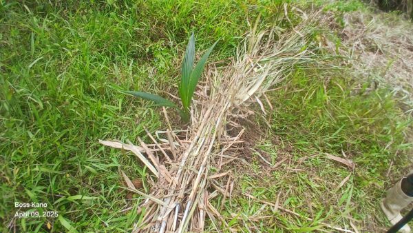 Simple Ways to Stop Erosion