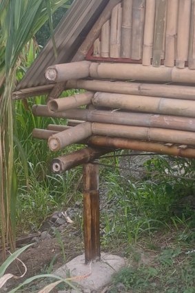 The Great Bamboo Hauling