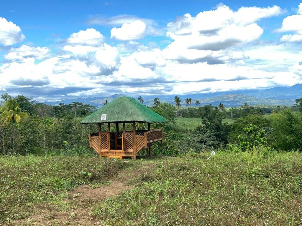 The beginning of the project