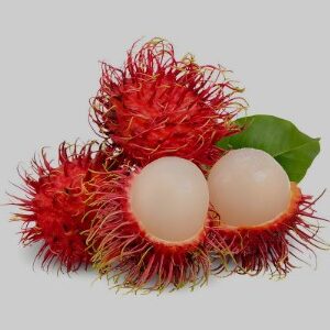Rambutan