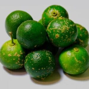 Calamansi