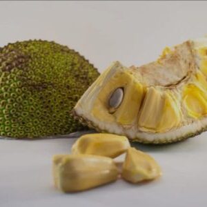 Langka, Jackfruit