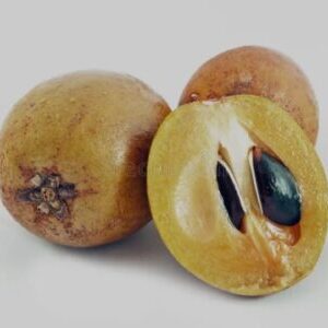 Chico Fruit, or Sapodilla