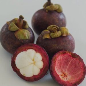 Mangosteen