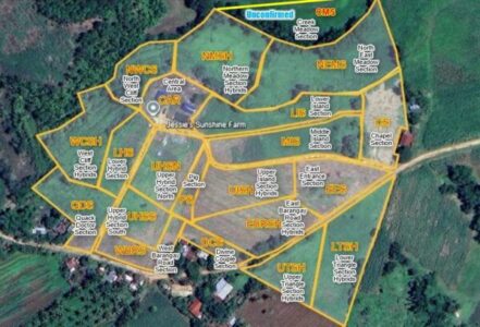 How to designate sectors in Agroforestry