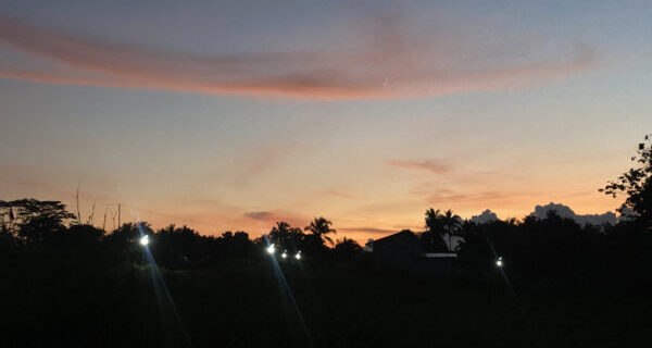 In the Bukid, Wonderful Good Morning with Birds