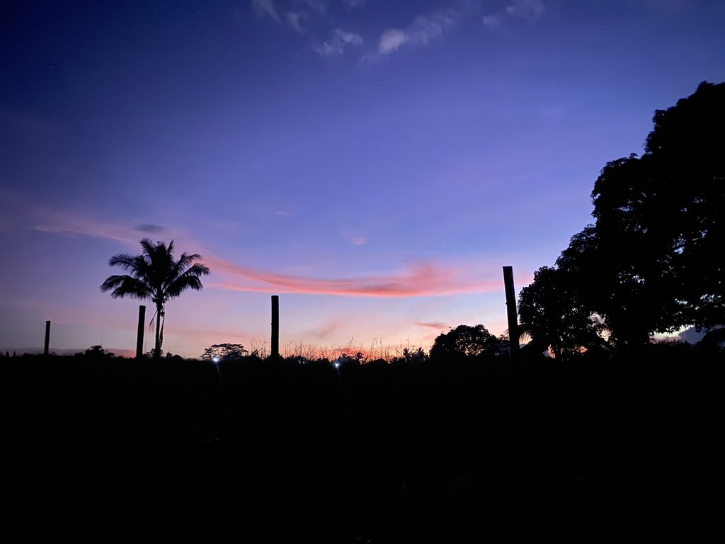 A morning in the Bukid
