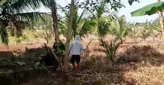 Our Coconuts needed a Swift and Successful Rescue