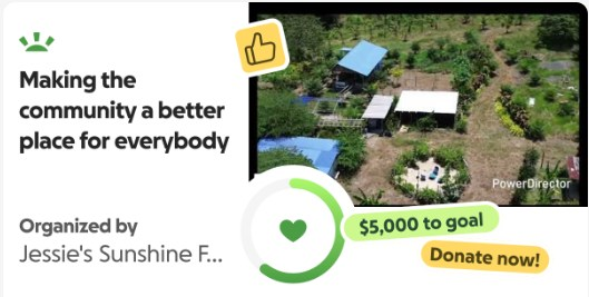 Donate here at Go-Fund-me 