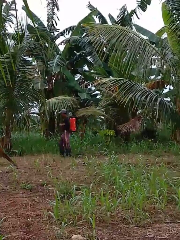 To have success in Farming you must be diligent and meticulous.