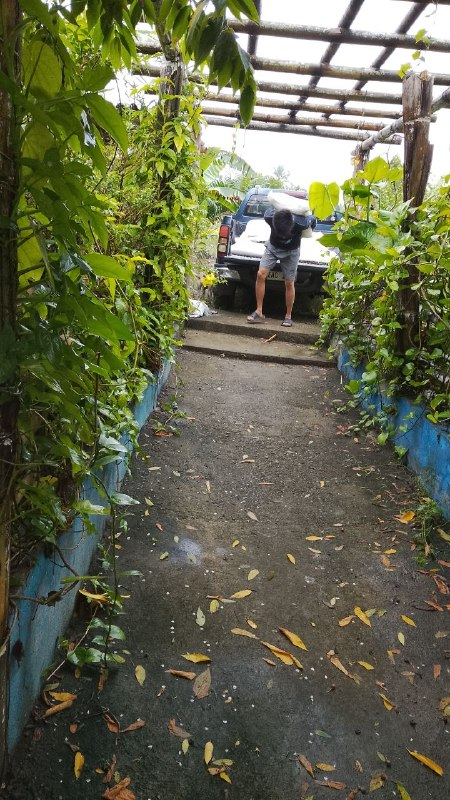 Carrying Fertilizer